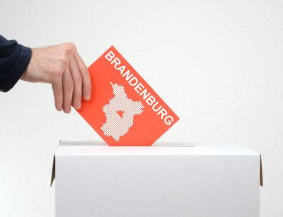 Schwachstellen im Brandenburger Wahlrecht: Interview mit Jonas Frederik Hartung. Foto: adobe.stock.com.