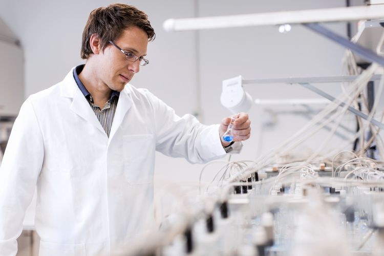 Professor Nico Eisenhauer im Labor.