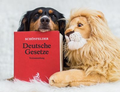 Löwe und Hund mit Gesetzessammlung